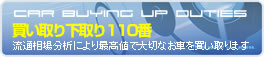 ������艺���110��
